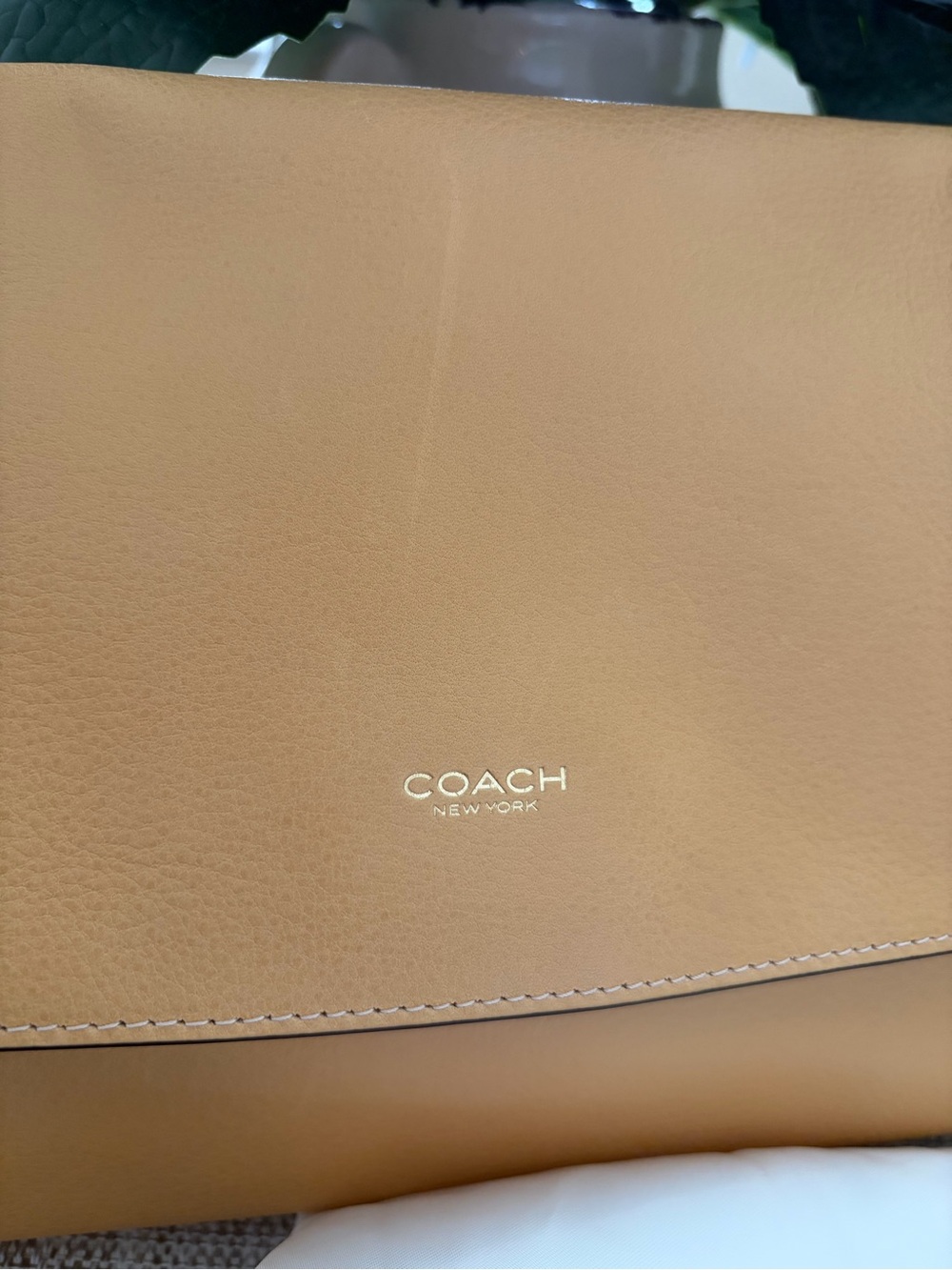 Coach Chelsea 30 Vanilla NW/OT - Picture 5 of 16